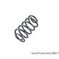 Belltech MUSCLE CAR SPRING SET 92-96 IMPALA/CAPRICE/ REAR