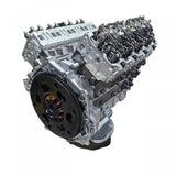 6.6L 2001-2004 Long Block Daily Driver LB7 GM Duramax Diesel Crate Engine Choate Performance - image 3