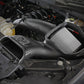 aFe 2021+ Ford F150 5.0L V8 MagnumFORCE Intake Stage-2 Pro DRY S