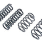 Belltech MUSCLE CAR SPRING KITS BUICK 68-72 A-Body